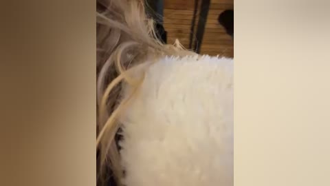 Media: Video of a close-up of a white fluffy feather boa draped over a person's shoulder, with light beige and tan colors in the background.