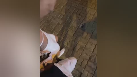 Media: Video of a person wearing a white shirt and black pants, lying on a cobblestone street, with a dog's head visible.