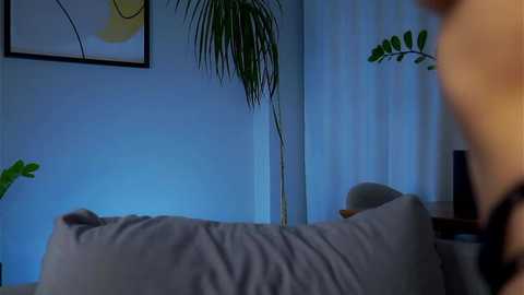 Media: Video of a dimly lit bedroom with a gray bed, green ferns, and abstract art on the wall, featuring a blurred person in the foreground.