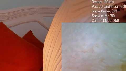 Media: A video of a bedroom with a bed featuring red pillows and a beige blanket. Text overlays describe the \"Deep Nooks\" feature, showing a hidden camera and microphone.