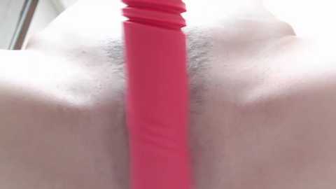 Media: A close-up video of a person's torso, focused on their genital area, featuring a prominent erect penis and a bright pink dildo inserted into the anus. The skin is pale with minimal pubic hair.