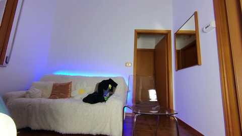 Media: Video of a cozy, minimalist living room with white sofa, wooden floor, and LED blue lighting; black dog lying on sofa, framed mirror on wall, glass table, and wooden door.