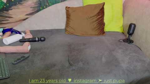 Media: Video of a gray couch with a stuffed animal, a vibrator, and a yellow pillow, set against a colorful mural, with text at the bottom about a 25-year-old Instagram post.