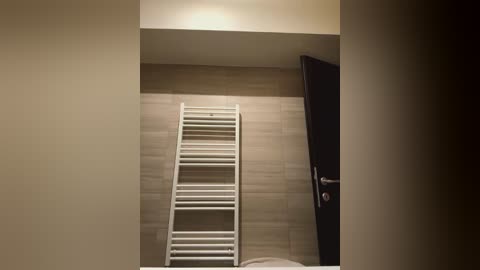 Media: Video of a beige-tiled bathroom with a white ladder towel rack, a closed black door, and a partially visible toilet, showcasing minimalist design.