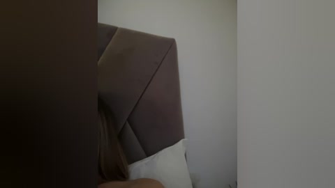 Media: A video of a corner of a modern bedroom with a plush, brown leather headboard and white pillows on a bed against a plain, off-white wall. The lighting is soft, creating a cozy and minimalist ambiance.