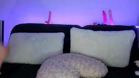 Media: A video of a black couch with two plush, white pillows and a furry, beige blanket on the floor, illuminated by a purple light.