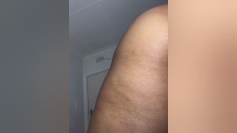 Media: Video of a close-up of a nude, dark-skinned person's thigh, showing stretch marks and smooth skin texture, in a dimly lit room with a white door and a ceiling vent in the background.