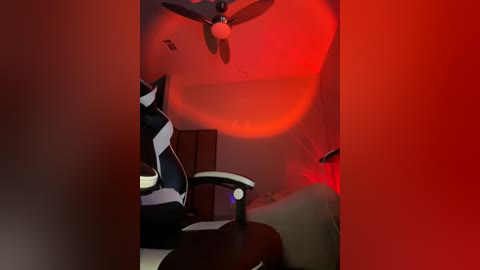 Media: Video of a dimly lit room with a ceiling fan casting red light, showing a black and white striped cat sitting on a black chair, and a person in the background with red light highlighting their figure.