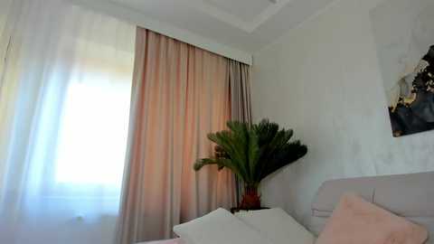 Media: Video of a modern, minimalist bedroom with light beige walls, a large potted palm plant, sheer white curtains, and a white bed with pink pillows, partially visible.