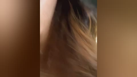 Media: This is a blurred, close-up video of a person's hair, predominantly light brown with darker highlights, set against a neutral, beige background. The image focuses on the texture and movement of the hair, creating a soft, ethereal effect.