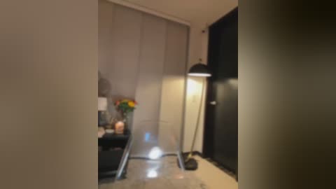 Media: Video of a dimly lit, modern hallway with a tall, white, floor-standing lamp, a black door, and a small table with a vase of colorful flowers.