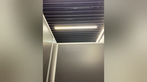 Media: A video of a modern interior ceiling with exposed black metal beams and a single bright fluorescent light strip running along the center. The walls are smooth, light gray, and feature a vertical white pipe running along the left side.