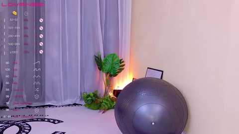 Media: A video of a serene yoga room featuring a large gray exercise ball, potted plants, sheer white curtains, and a digital timer display on a wall.