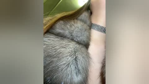 Media: Video of a person with light skin, wearing a fur coat with gray and brown shades, a silver bracelet, and long, straight, light brown hair, partially visible.