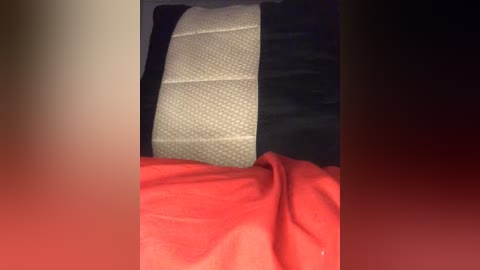 Media: Video of a car seat, featuring a beige fabric with a diamond pattern, and a black leather portion. A red blanket is partially visible at the bottom. The image is blurred, with a reddish background.