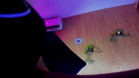 Media: Video of a wooden room with a pink and purple light gradient, featuring potted plants, a wall-mounted air conditioner, and a circular blue light fixture.