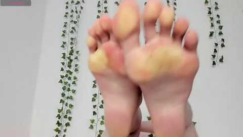 Media: Video of a close-up of a person's bare feet with soles slightly blurred, toes spread, and toenails visible. Background features white walls adorned with green ivy-like garlands.