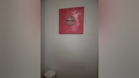 Media: Video of a small, dimly lit bathroom with a minimalist, modern design. The focal point is a red-painted wall with a large, abstract painting of a woman's lips in the center. Below, a white toilet and a white, cylindrical soap dispenser are visible.