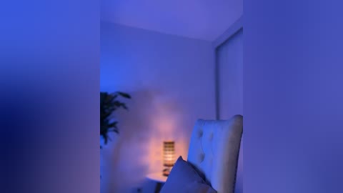 Media: Video of a dimly lit bedroom with a tufted headboard, a potted plant, and a lamp emitting a soft orange glow against a blue-tinted wall, creating a serene, slightly blurred ambiance.