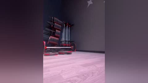 Media: A video of a minimalist gym room with a black metal rack holding numerous black and red dumbbells, set against a plain gray wall and light wooden floor.