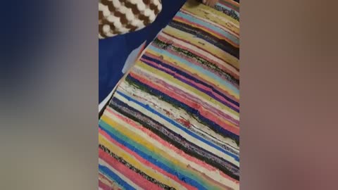 Media: A video of a colorful, hand-painted rug featuring horizontal stripes in vibrant hues of pink, yellow, blue, and green, with a small red patch. The rug is set against a backdrop of a white and black zebra-patterned fabric.