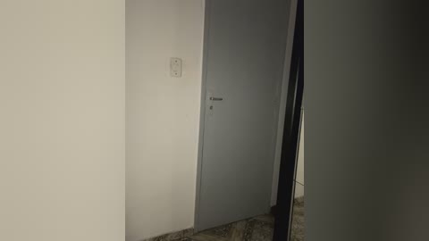 Media: Video of a dimly lit, minimalist hallway with a closed, grey metal door on the left and a black pillar on the right, featuring a single light switch. The walls are plain white, and the floor is covered in a speckled, beige and brown tile.