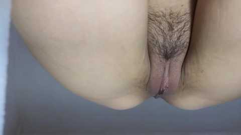 Media: Video of a close-up view of a vulva, with light skin tone, visible pubic hair, and labia, set against a plain, light-colored background.