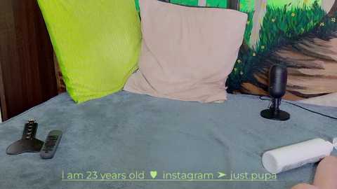 Media: Video of a bedroom with a blue blanket, two pillows, a black microphone, a remote, and a white cylindrical object on a bed. Background features a green and brown mural. Text: \"I am 26 years old, instagram @justpupa.\