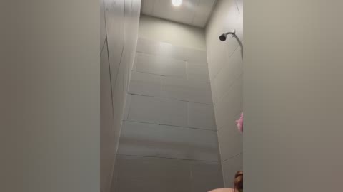 Media: A video of a narrow, beige-tiled shower stall with a small, round showerhead and a pink towel hanging on a hook. The image is taken from a low angle, emphasizing the confined space.