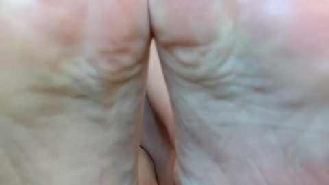 Media: Video of two naked, pale buttocks pressed closely together, creating a V-shape. Skin appears smooth with slight creases and natural imperfections visible. Background is blurred, focusing on the intimate, close-up view of the skin texture and contact.