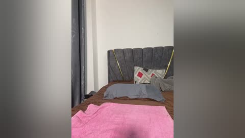 Media: A video of a bed in a simple room, featuring a gray headboard, pink and gray blankets, and a black curtain on the left.