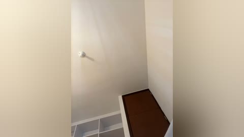 Media: A video of a narrow, beige-walled hallway with a silver doorknob on the left, and a dark wooden shelf on the right. The floor has white and gray tiles.