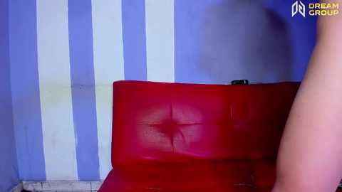 Media: Video of a red leather couch with a tufted backrest against a blue and white striped wall. The image is bright and well-lit, capturing a modern, minimalist room setting.