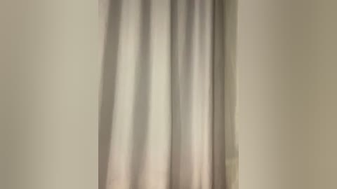 Media: Video of a vertical, beige curtain with soft folds, hanging against a plain, light beige wall. The image is soft-focused, creating a serene, minimalist aesthetic.