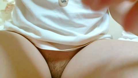 Media: A close-up video of a person wearing a white T-shirt and beige panties, with visible pubic hair, sitting with legs apart. The background is blurred.