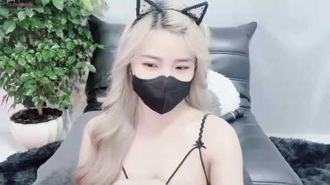 Media: Video of a young Asian woman with long, wavy blonde hair, wearing black cat ears, a black mask, and a revealing black lingerie top. She sits on a gray leather chaise lounge, with a green plant and a white pillow in the background.