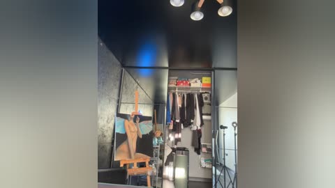 Media: Video of a modern, dark-themed walk-in closet with a black ceiling, three hanging lights, and a wall-mounted TV. Clothes hang on the right side, and a painting on the left.