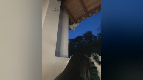 Media: Video of a woman with long, dark hair standing on a balcony at dusk, looking out at a tree-filled landscape. The sky is a deep blue, and the balcony has a wooden ceiling.