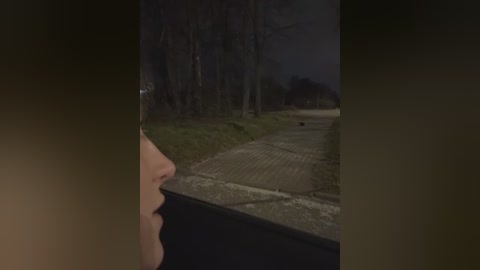 Media: A dimly lit video captures a person's profile in a car, gazing out the window at a dark, empty park with a paved path and sparse trees. The sky is overcast, casting a gloomy ambiance.