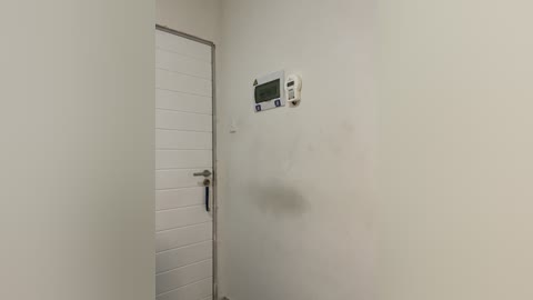 Media: A video of a small, plain white room with a closed white door on the left, a wall-mounted white thermostat above it, and a dark shadow on the right wall.