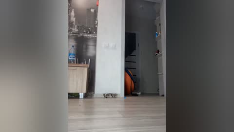 Media: Video of a minimalist, modern apartment with a white wall, wooden floor, and a large orange bean bag chair in the background.