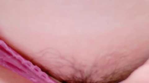 Media: Video of a close-up view of a woman's shaved vulva, with light pink skin tone, visible pubic hair follicles, and a pink lace trim at the bottom edge.