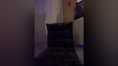 Media: A dimly lit video shows a black, cushioned, high-backed chair in a narrow hallway, with a closed door and a laundry basket on the right.