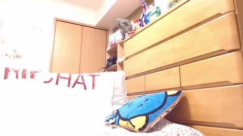 Media: A video of a neatly made bed with a blue pillow featuring Sonic the Hedgehog and a white pillow with \"RIT\" written in red. A wooden dresser with a decorative shelf above it is visible in the background.