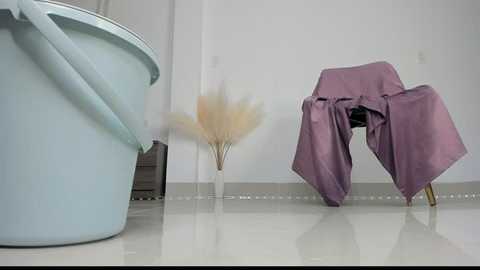 Media: Video of a minimalist bathroom with a light blue bucket, purple cloth draped over a stool, and a dried pampas grass arrangement on the floor.