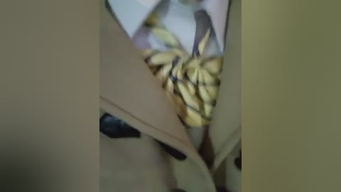 Media: A blurry video showing a partially open beige envelope containing several unripe yellow bananas, with a hint of a white shirt and tie visible inside.