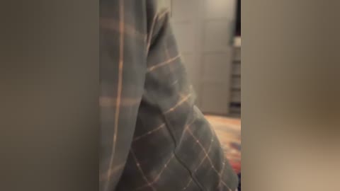 Media: Video of a person wearing a dark, plaid-patterned dress, standing in a dimly lit room with wooden floors and indistinct furniture in the background. The focus is on the dress, emphasizing its texture and folds.