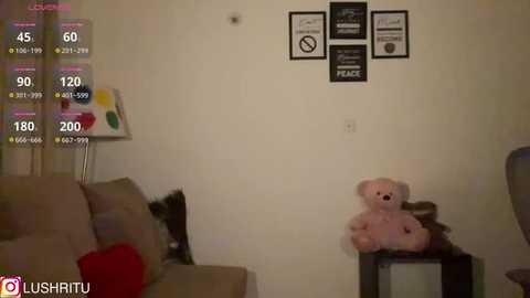 Media: A video captures a beige couch with a red cushion, a pink teddy bear on a black shelf, and framed motivational quotes on a cream wall.