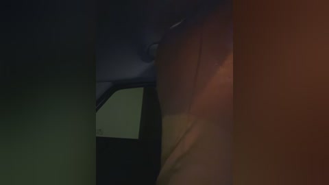 Media: A dimly lit, grainy video showing the interior of a car, with a blurred, dark figure leaning against the driver's side door. The background is dark and indistinct, suggesting a low-light environment.