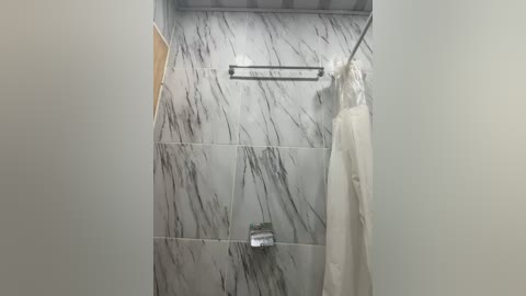 Media: Video of a modern bathroom with white marble-tiled walls, a chrome towel rack, and a white towel hanging on the right.